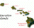 ISLAND MAPS OF HAWAII