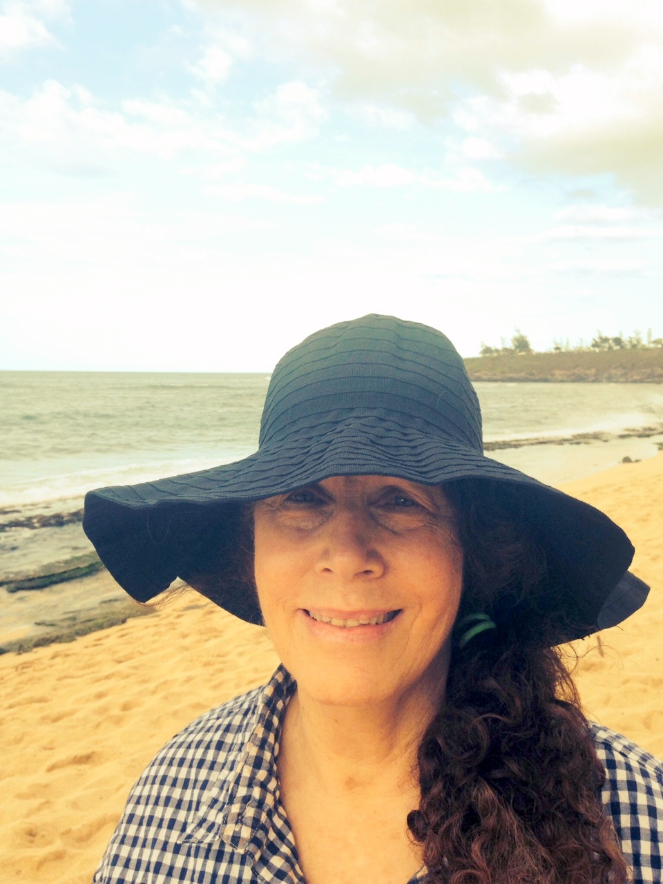 Barbara Steinberg Watercolor Studio Maui