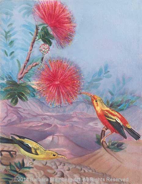 O'hia-Lehua Blossom and Iiwi Bird
