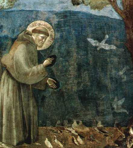 WORDS OF SAINT FRANCIS OF ASSISI
